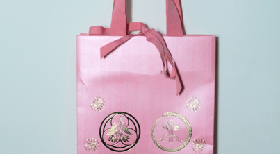 Professional 3D Photoshop software training.