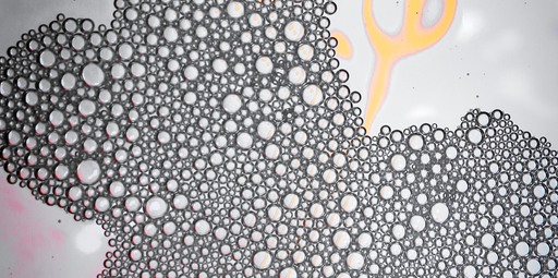 Professional 3D Photoshop software training.