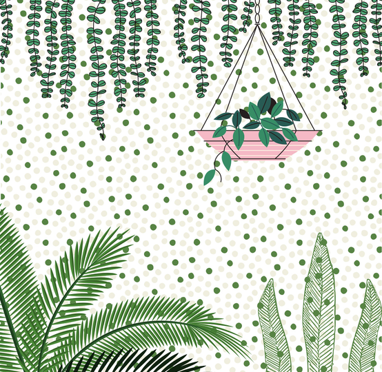 Professional 3D Photoshop software training.