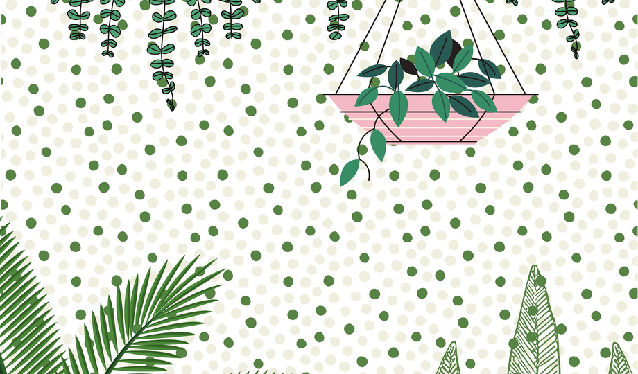 Professional 3D Photoshop software training.